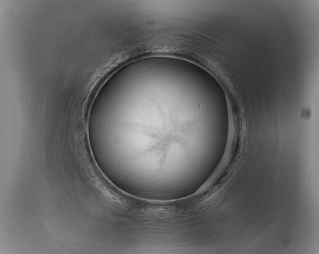 X0000111500721200907141311