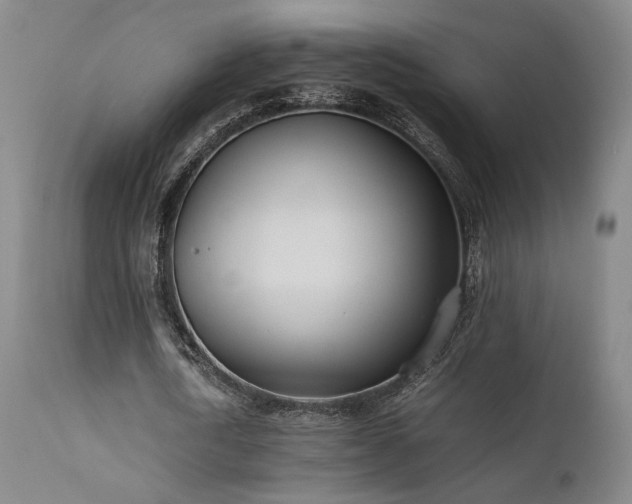 X0000111500722200907141311