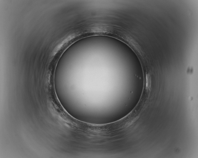 X0000111500723200907141311