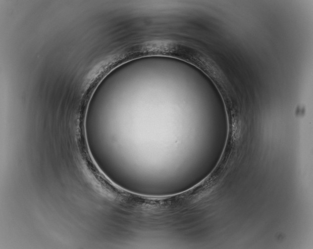 X0000111500725200907141311