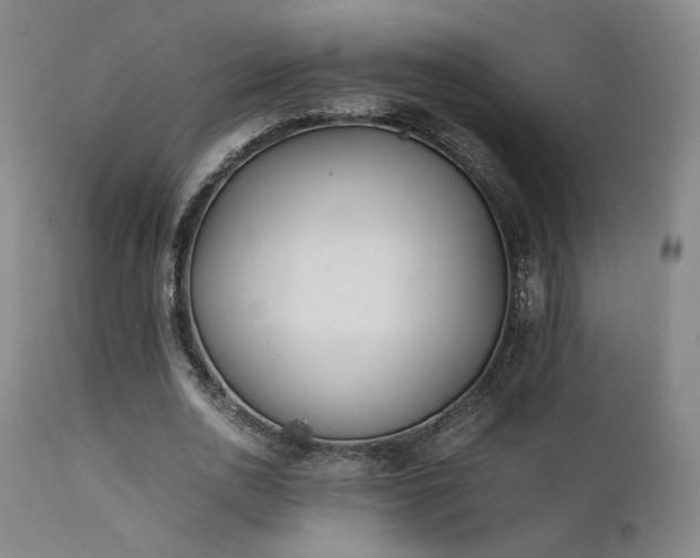 X0000111500726200907141311