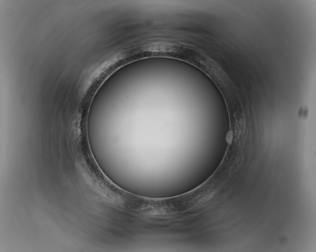 X0000111500727200907141311