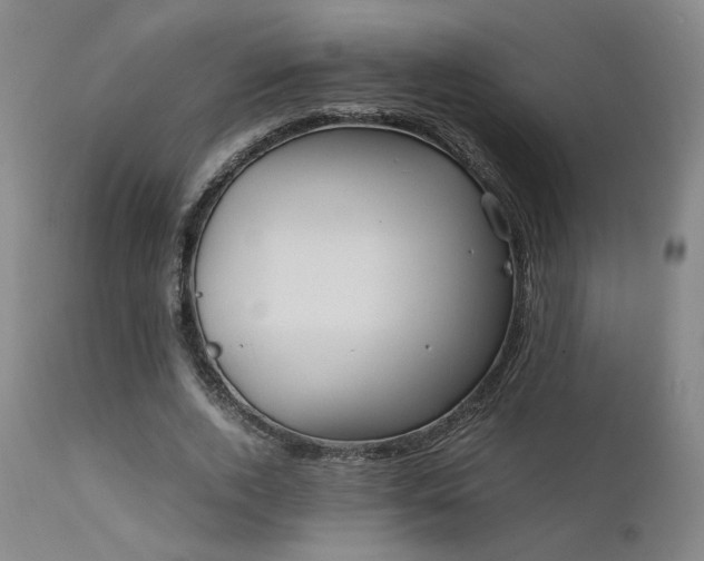 X0000111500728200907141311