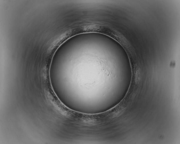 X0000111500729200907141312
