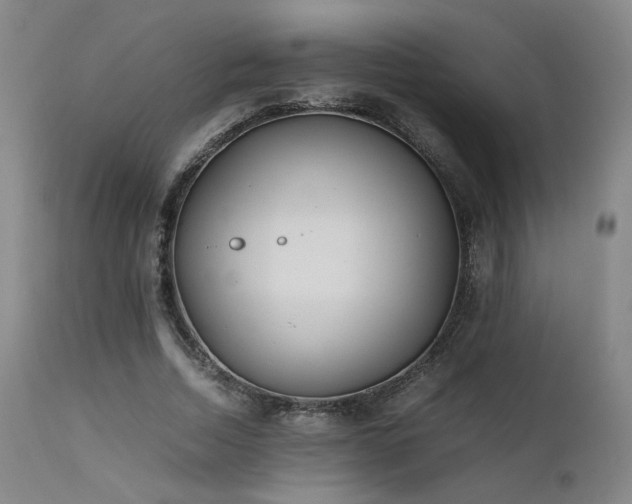 X0000111500730200907141312