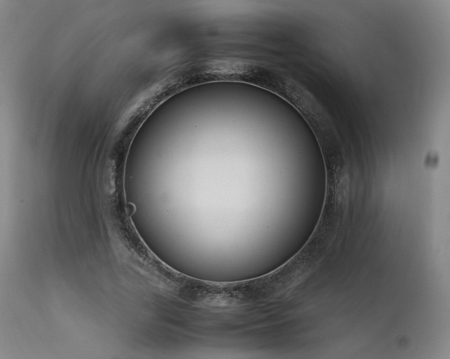 X0000111500731200907141312
