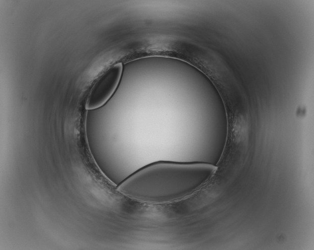 X0000111500732200907141312