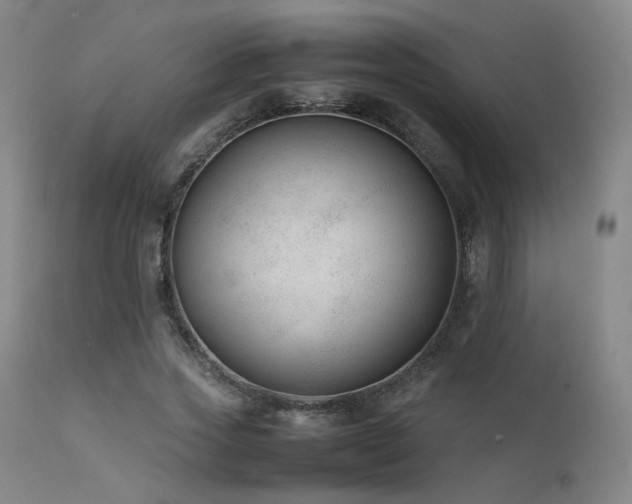 X0000111500733200907141312