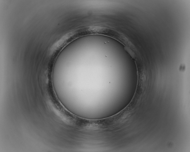 X0000111500734200907141312