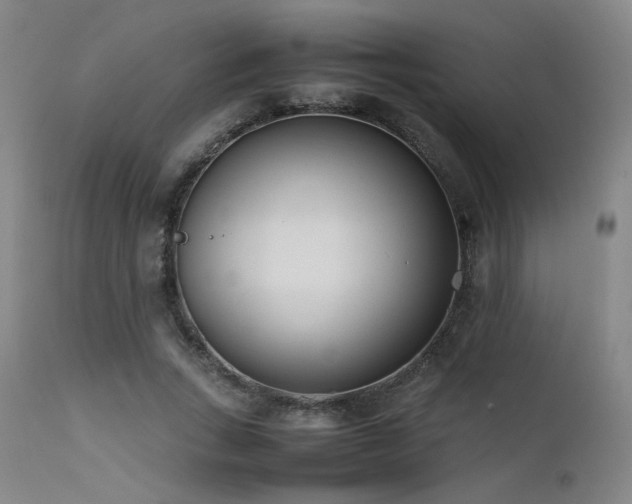 X0000111500735200907141312