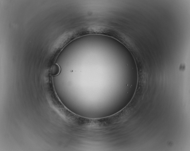 X0000111500738200907141312