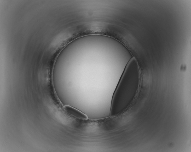 X0000111500740200907141312