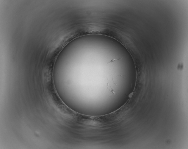 X0000111500743200907141312