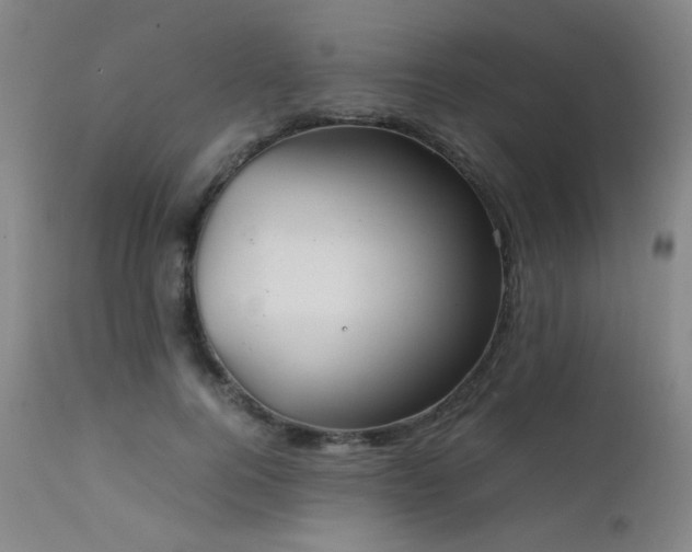 X0000111500744200907141312