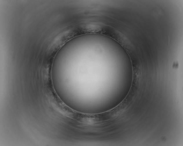 X0000111500745200907141312