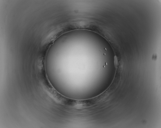 X0000111500746200907141312