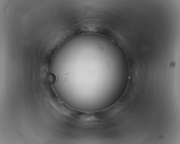 X0000111500747200907141312