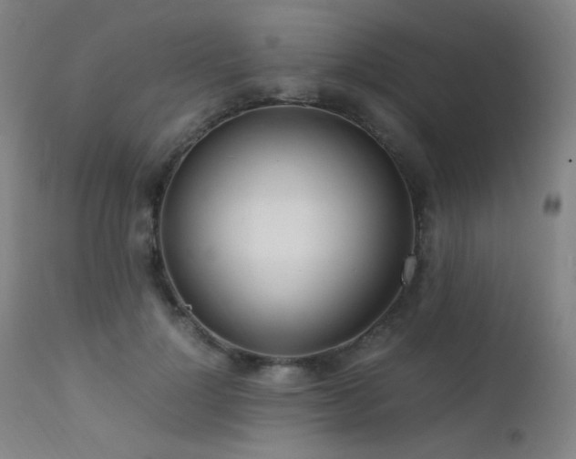 X0000111500748200907141312
