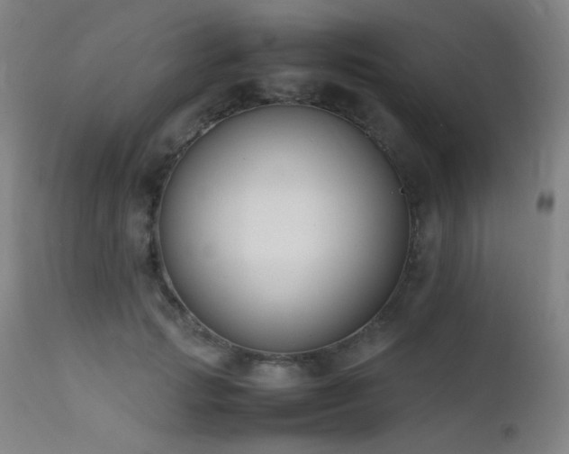 X0000111500749200907141312