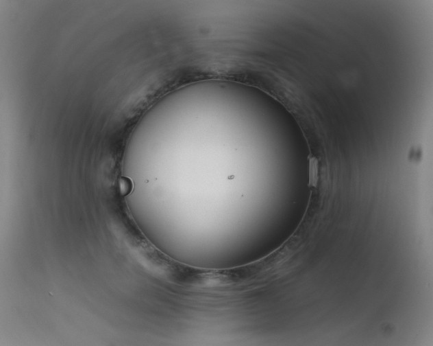 X0000111500750200907141312