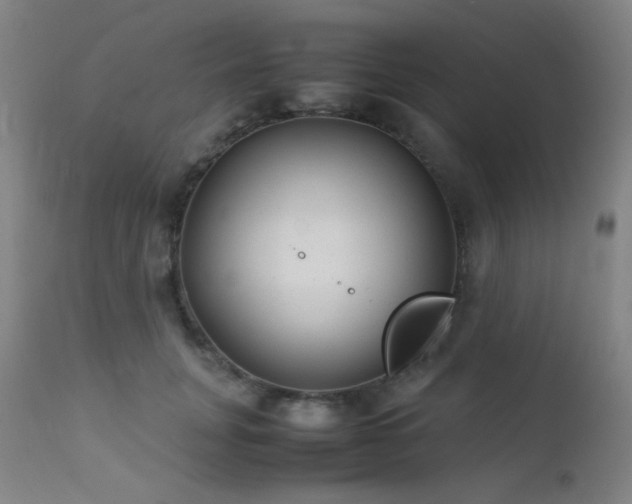X0000111500751200907141312