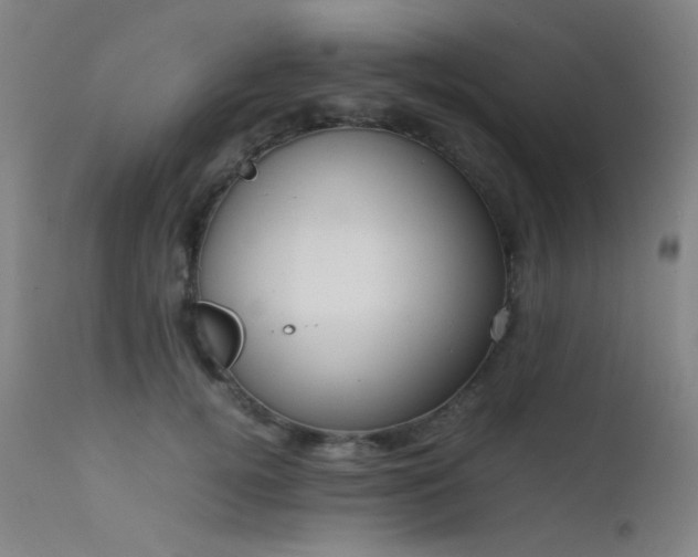 X0000111500752200907141312