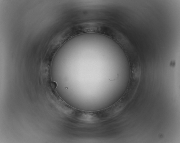X0000111500753200907141312
