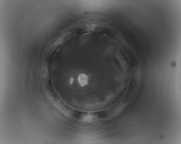 X0000111500754200907141312