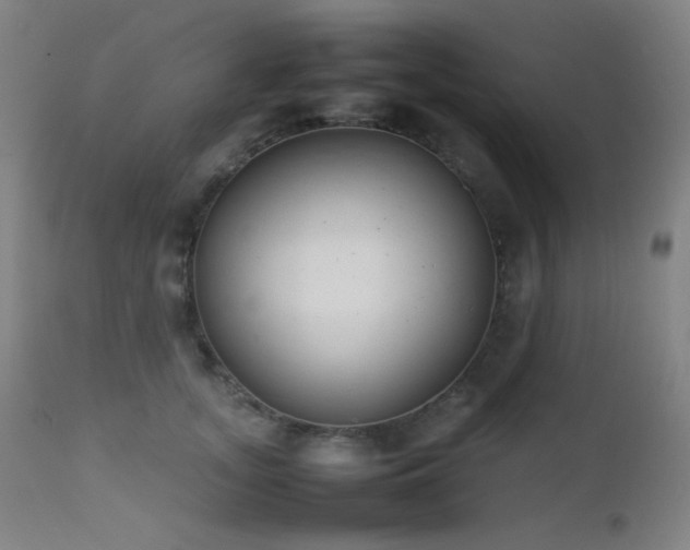 X0000111500755200907141312