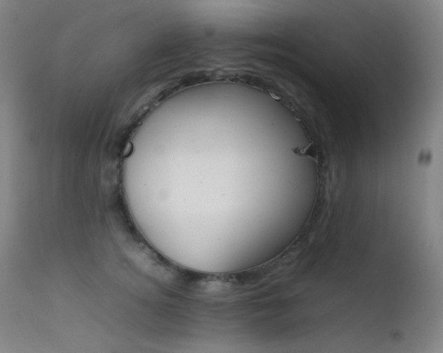 X0000111500756200907141312