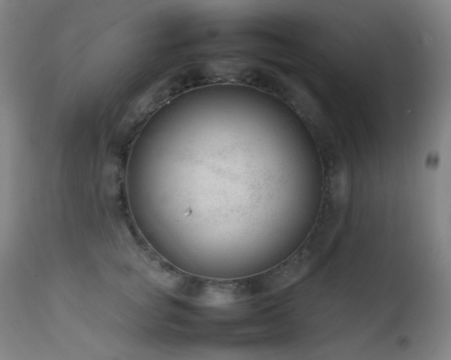 X0000111500757200907141312