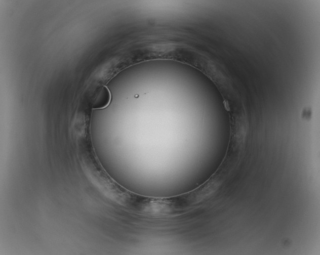 X0000111500758200907141312