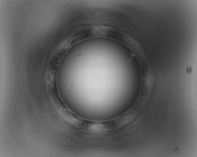 X0000111500759200907141312