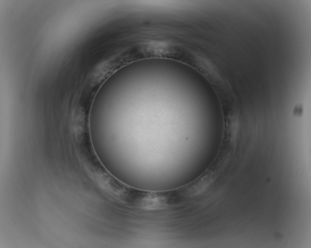 X0000111500760200907141312