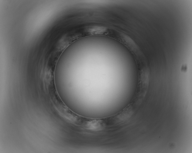 X0000111500761200907141312