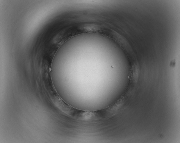 X0000111500762200907141312