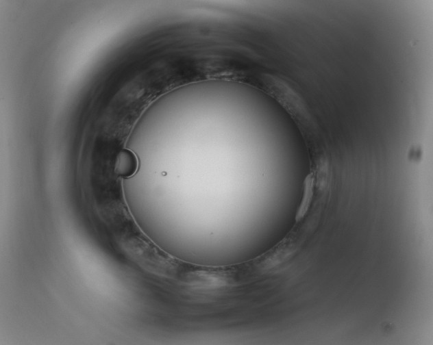 X0000111500763200907141312