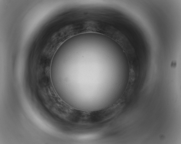 X0000111500765200907141312