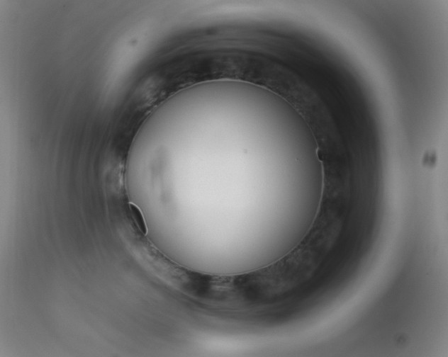 X0000111500766200907141312