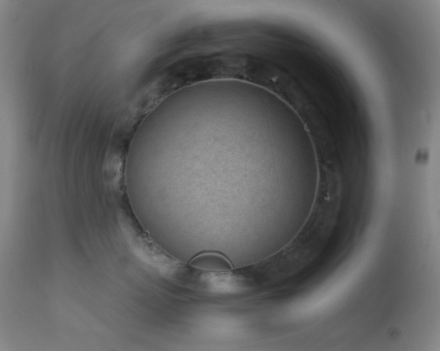 X0000111500767200907141312