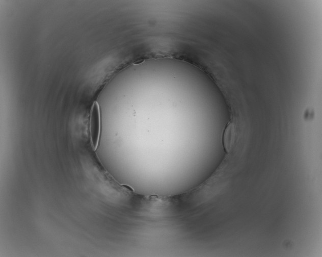 X0000111500768200907141312