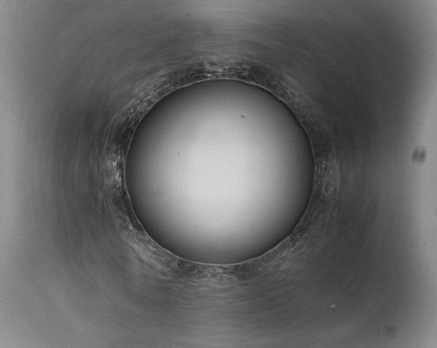 X0000111500770200907141311