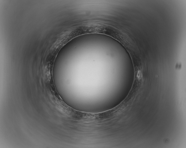 X0000111500771200907141311