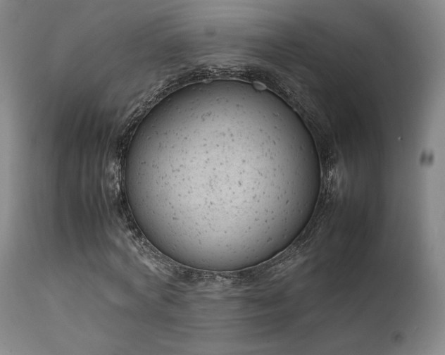 X0000111500772200907141311