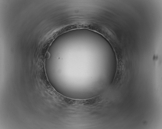 X0000111500773200907141311