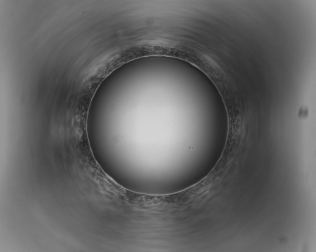 X0000111500774200907141311