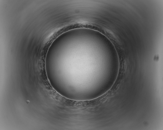 X0000111500776200907141311