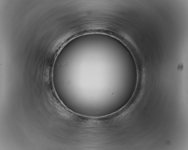 X0000111500777200907141311