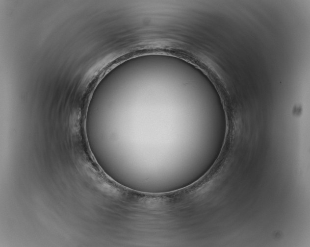 X0000111500778200907141311