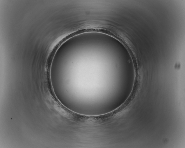 X0000111500779200907141311